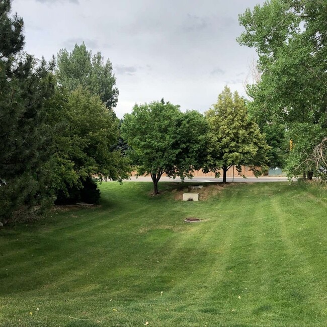 Building Photo - 4533 Starflower Dr