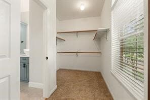 Building Photo - 4030 Harwood Dr