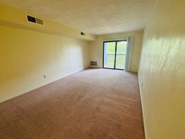 Building Photo - Efficiency 1 Bathroom Condo