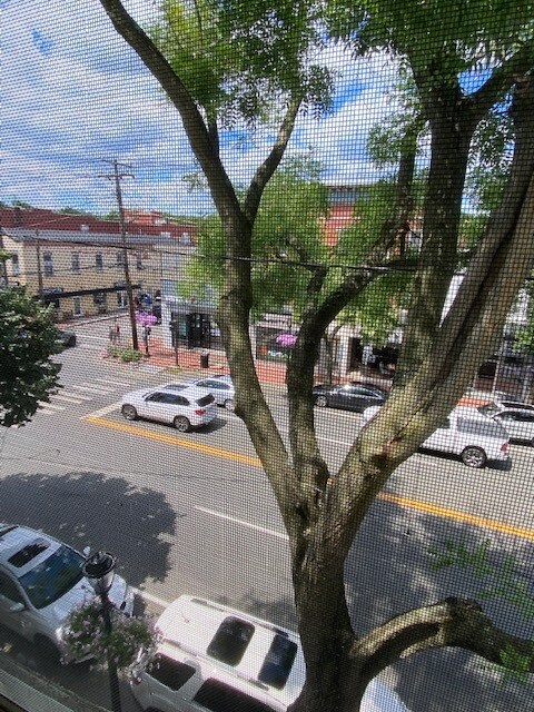 views of Main St - 308 Main St