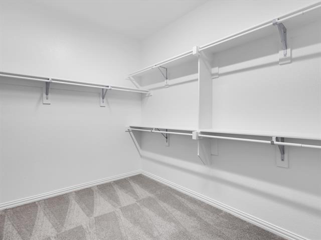 Building Photo - 1303 Wheelwright Dr