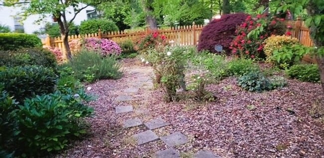 Building Photo - Coming Beginning of June!-Beautiful Home for Rent