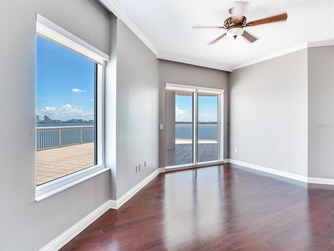 Building Photo - 3507 Bayshore Blvd