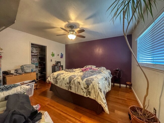 Building Photo - 44 Chestnut St