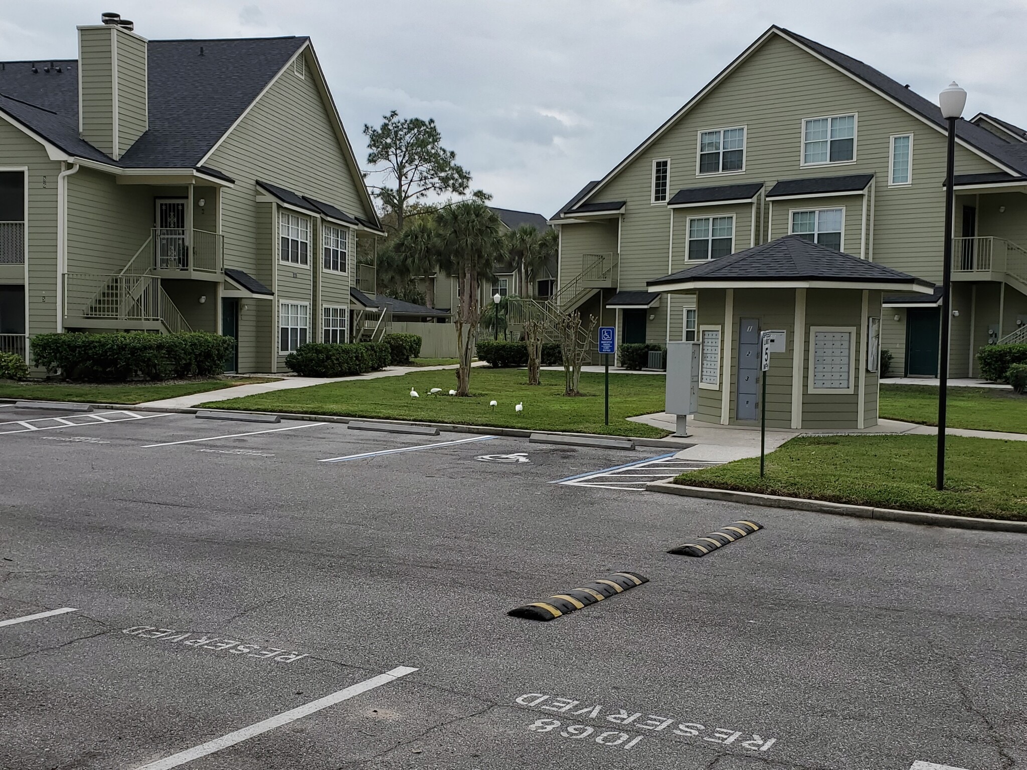 Building Photo - 3705 S Lake Orlando Pkwy