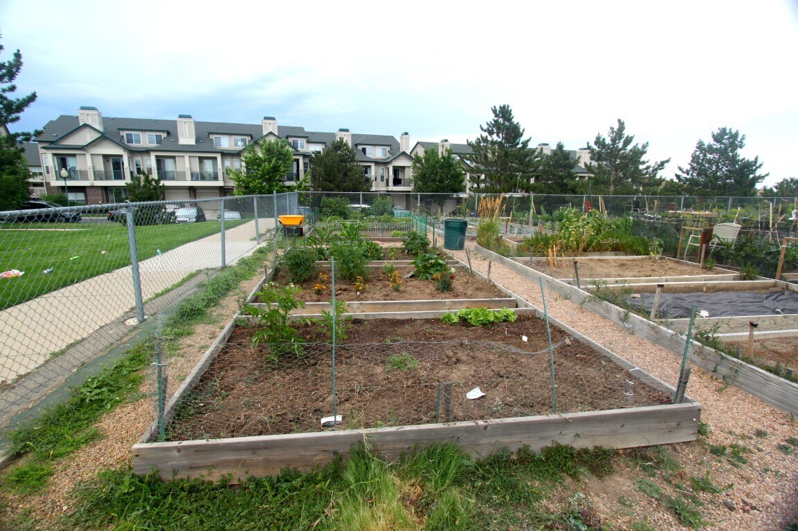 Community Garden - 1942 Oxford Ln