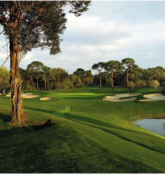 Building Photo - 36750 US Highway 19 N