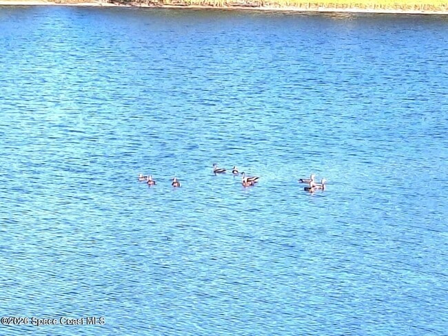 Building Photo - 4550 Bellaluna Dr