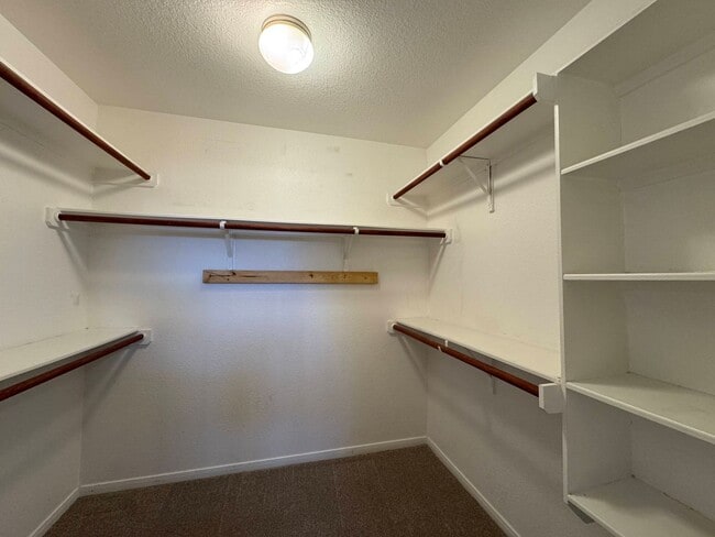Building Photo - 7819 Woodbury Dr