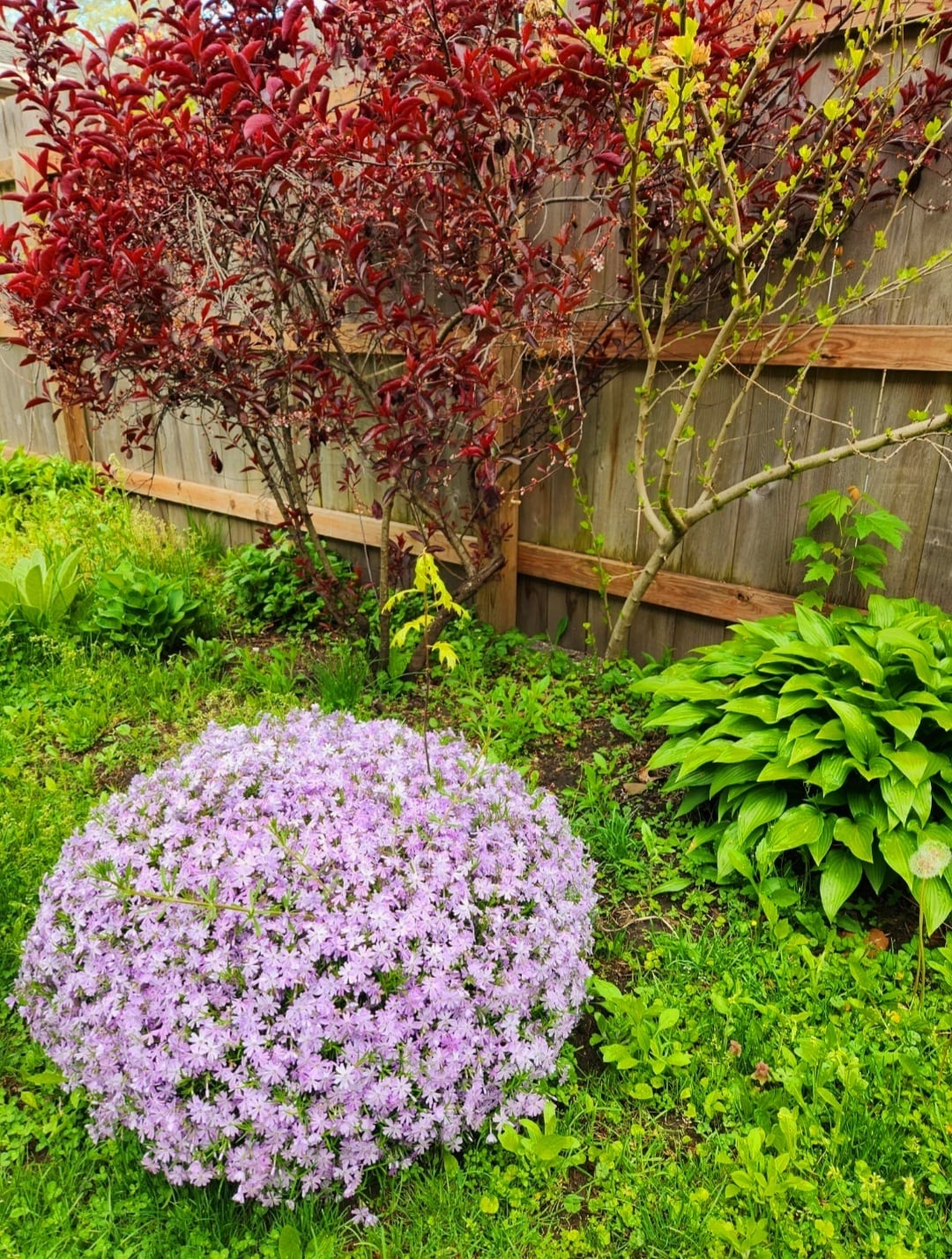 Building Photo - 2200 W 32nd St