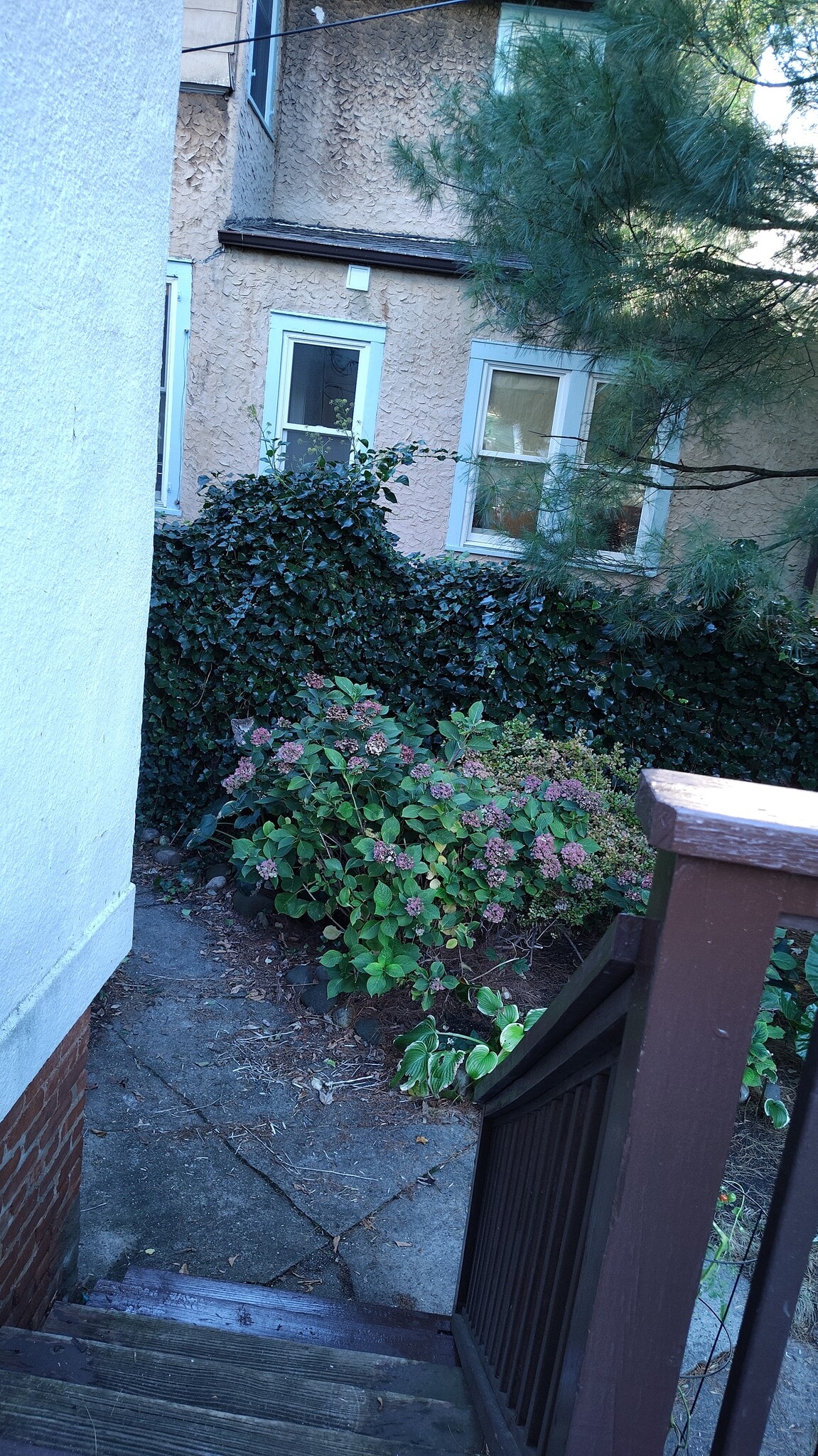 SIDE PATH IN THE BACK YARD - 4 Edmarth Pl