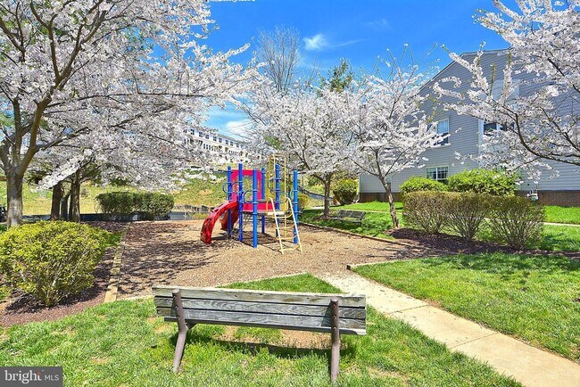 Building Photo - 15305 Diamond Cove Terrace