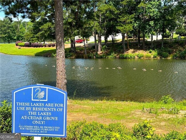 Building Photo - 7888 The Lakes Point