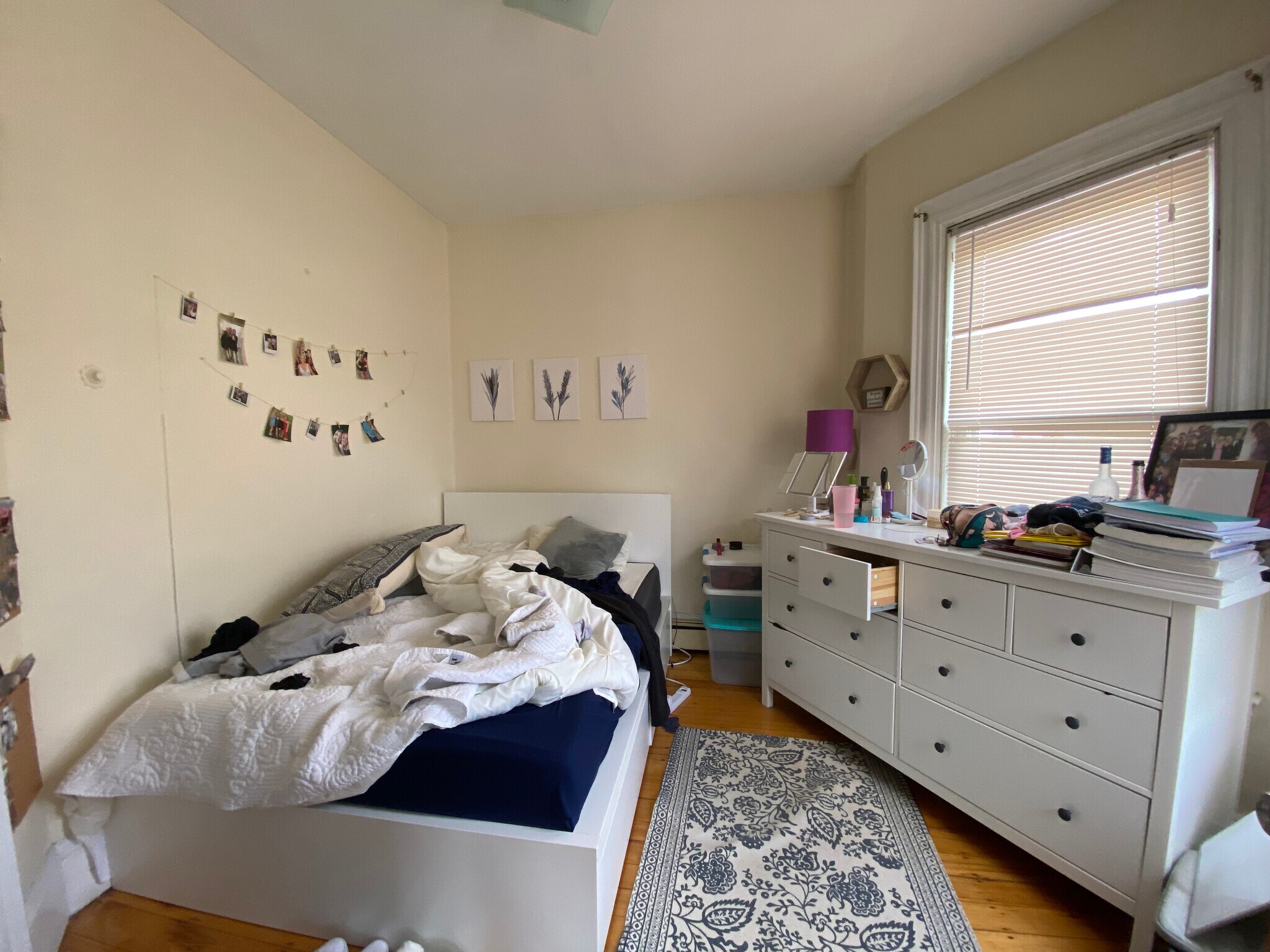 Building Photo - 103 Calumet St