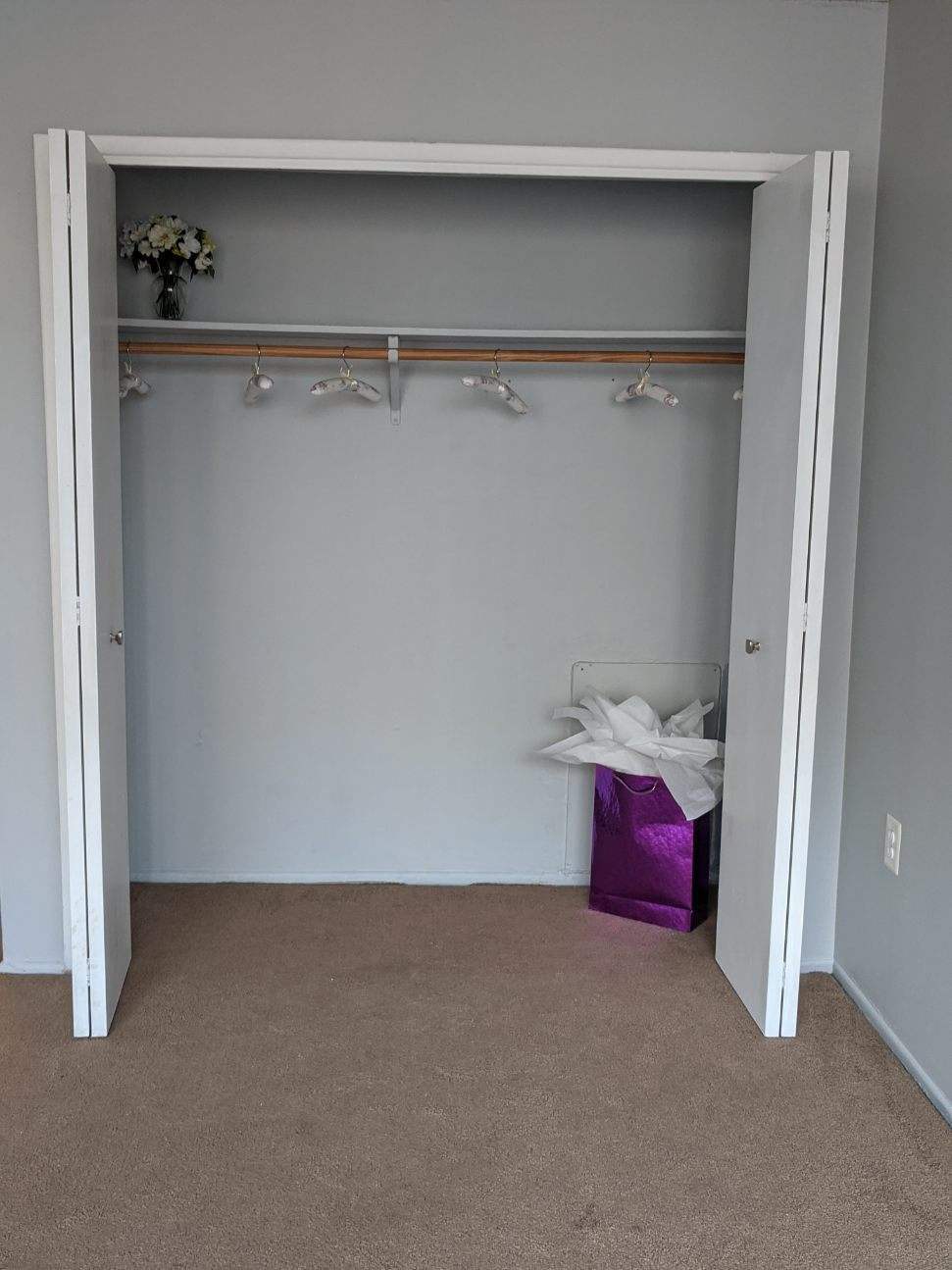 Bedroom Closet - 1830 Metzerott Rd