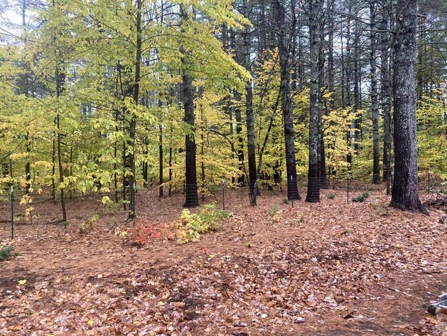 Building Photo - 77 Lovewell Pond Rd