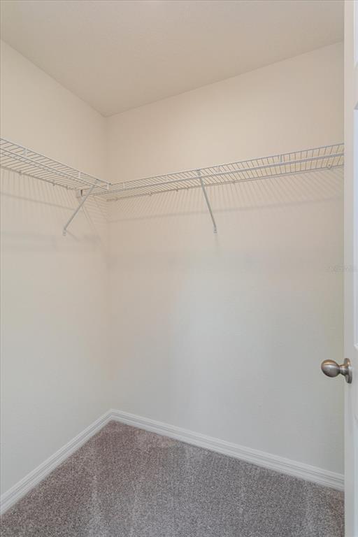 Building Photo - 352 Towns Cir