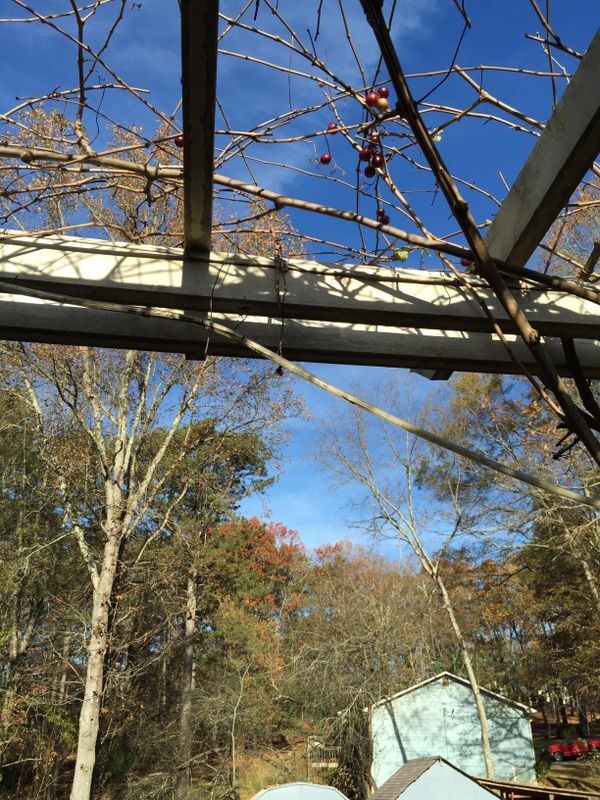 Building Photo - 577 Virginia Ave