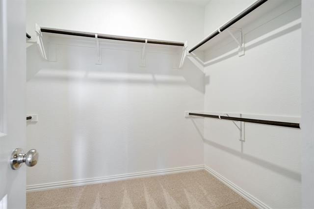 Building Photo - 3301 Tulip Poplar Trl