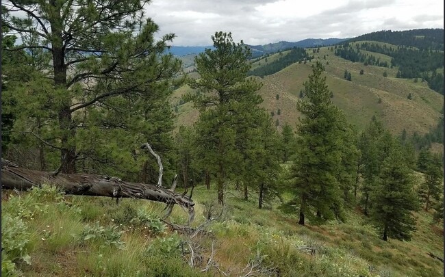 Building Photo - Cozy 1-Bed Cabin on 30 Private Acres – Incredible Views & Outdoor Access