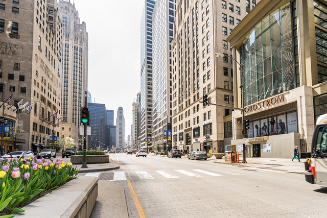 Building Photo - 535 N Michigan Ave