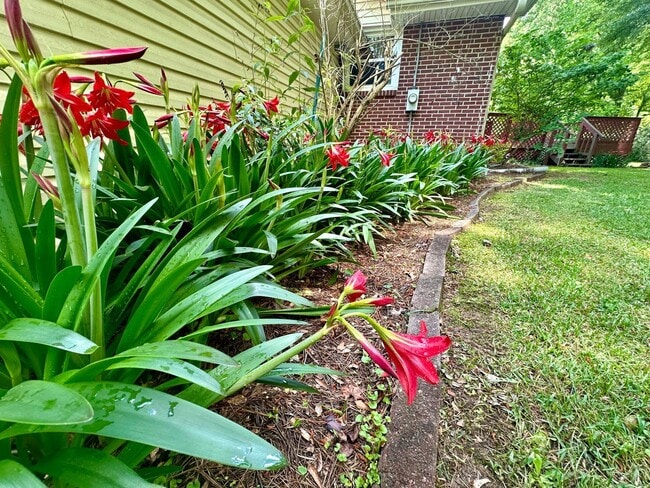 Building Photo - Fantastic Full Brick Ranch