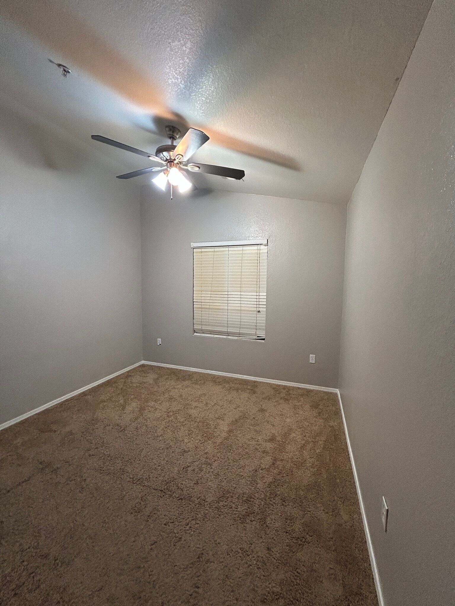 Building Photo - 356 N 169th Ave