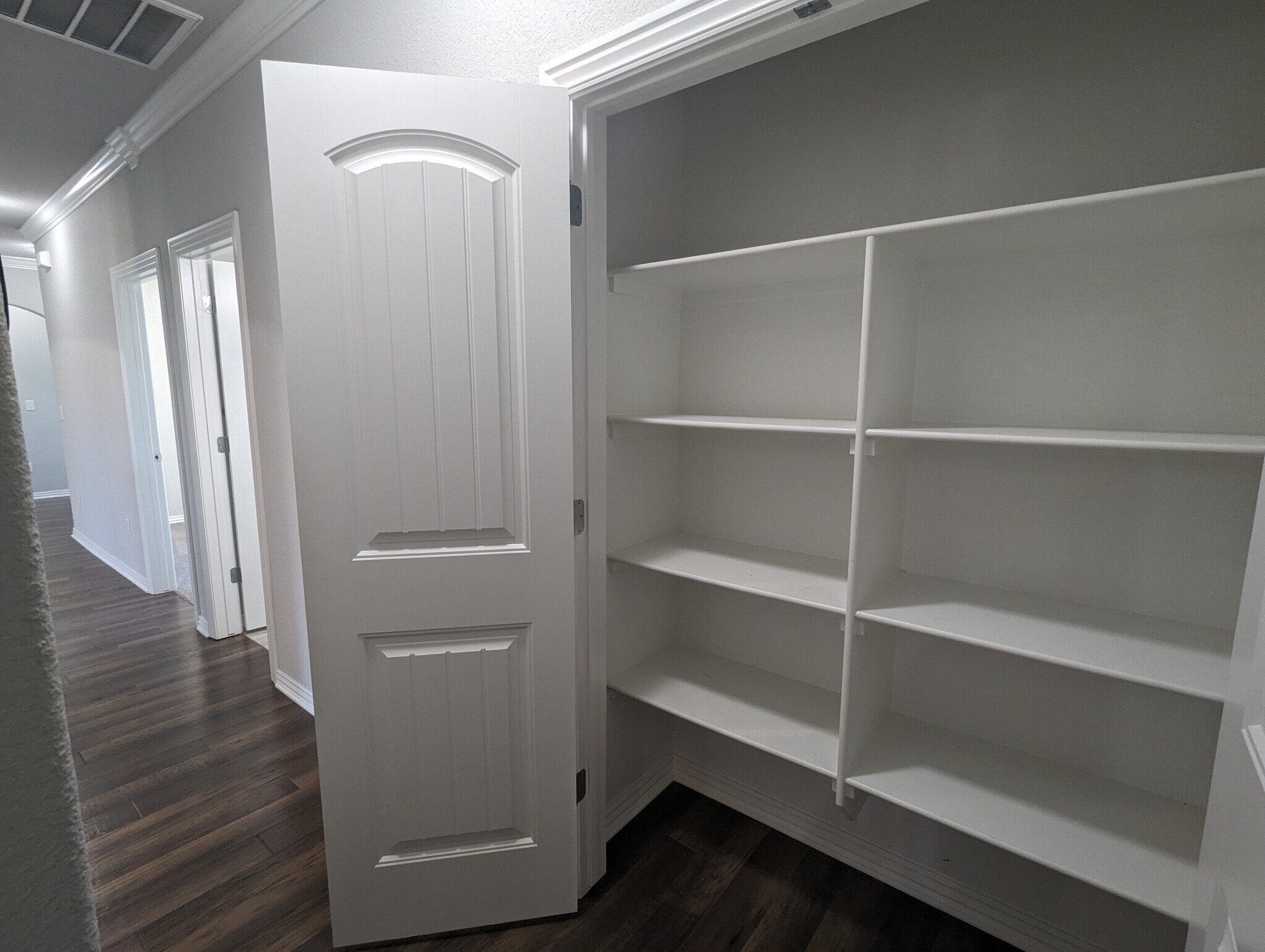 Large pantry on the hallway - 4360 W Wales Dr