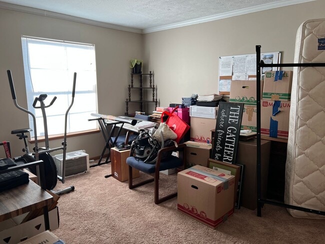 Building Photo - 303 Grace Dr