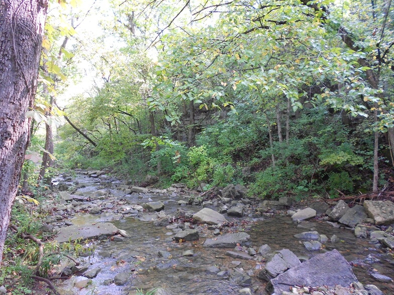 Building Photo - 2972 Maple Street Hollister MO