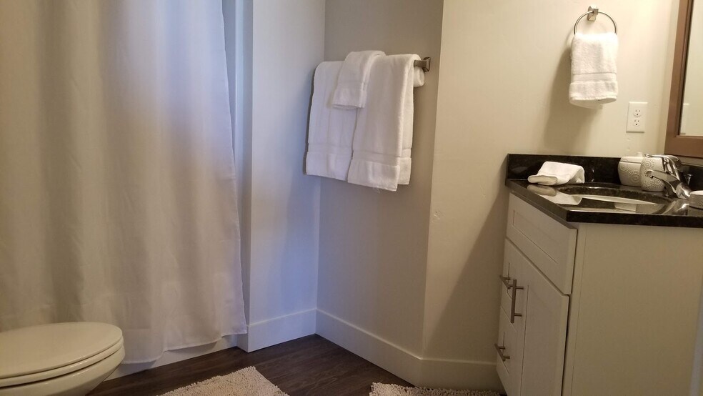 Guest Bath - 1043 S 500 E