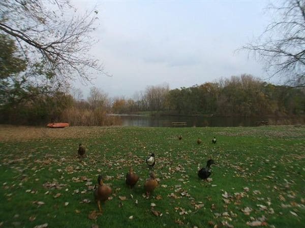 Building Photo - 2130 Burton St SW