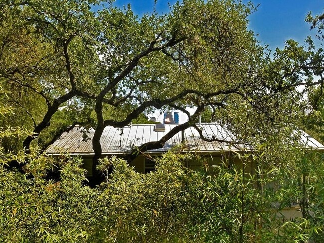 Building Photo - 206 Park Ln