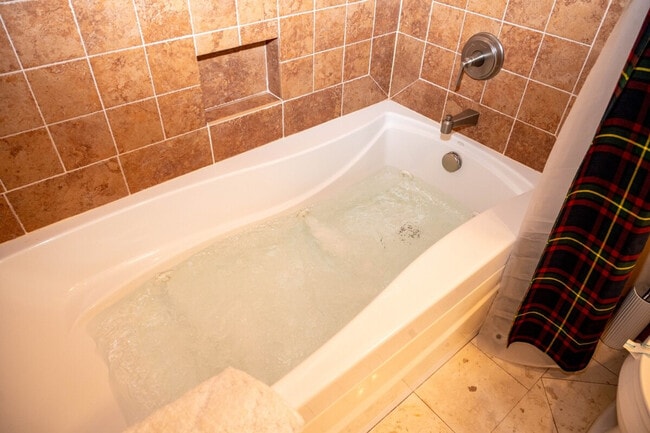 Building Photo - 196 Black Mountain Rd