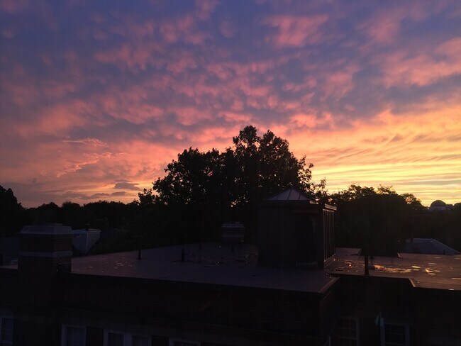 Building Photo - 29 Concord Ave