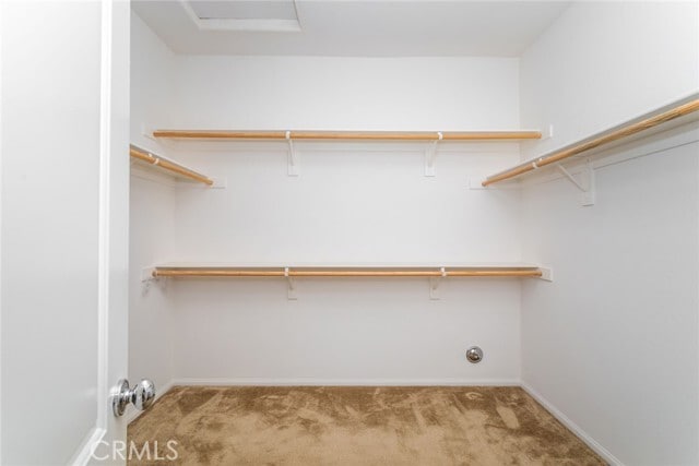 Building Photo - 28629 Farrier Dr