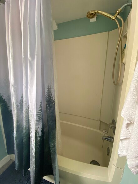 3rd floor bathroom - 1303 Wealthy St SE