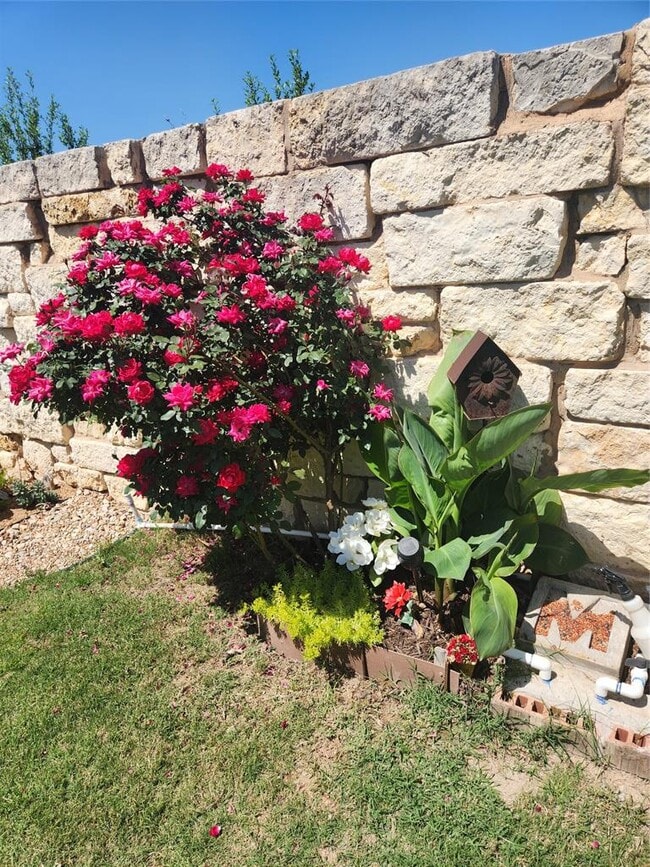 Building Photo - 441 Mistflower Springs Dr