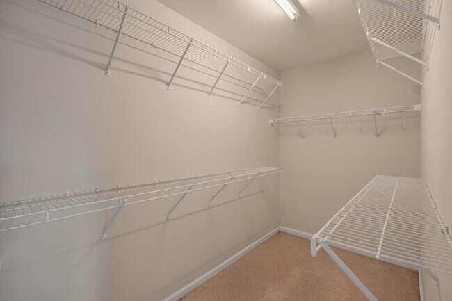 Building Photo - 5020 Babbling Brook Dr