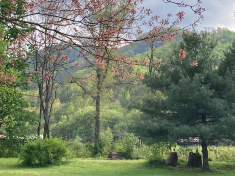 Building Photo - 12 Spruce St