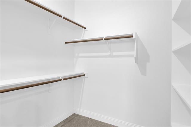 Building Photo - 11305 Cobalt Dr