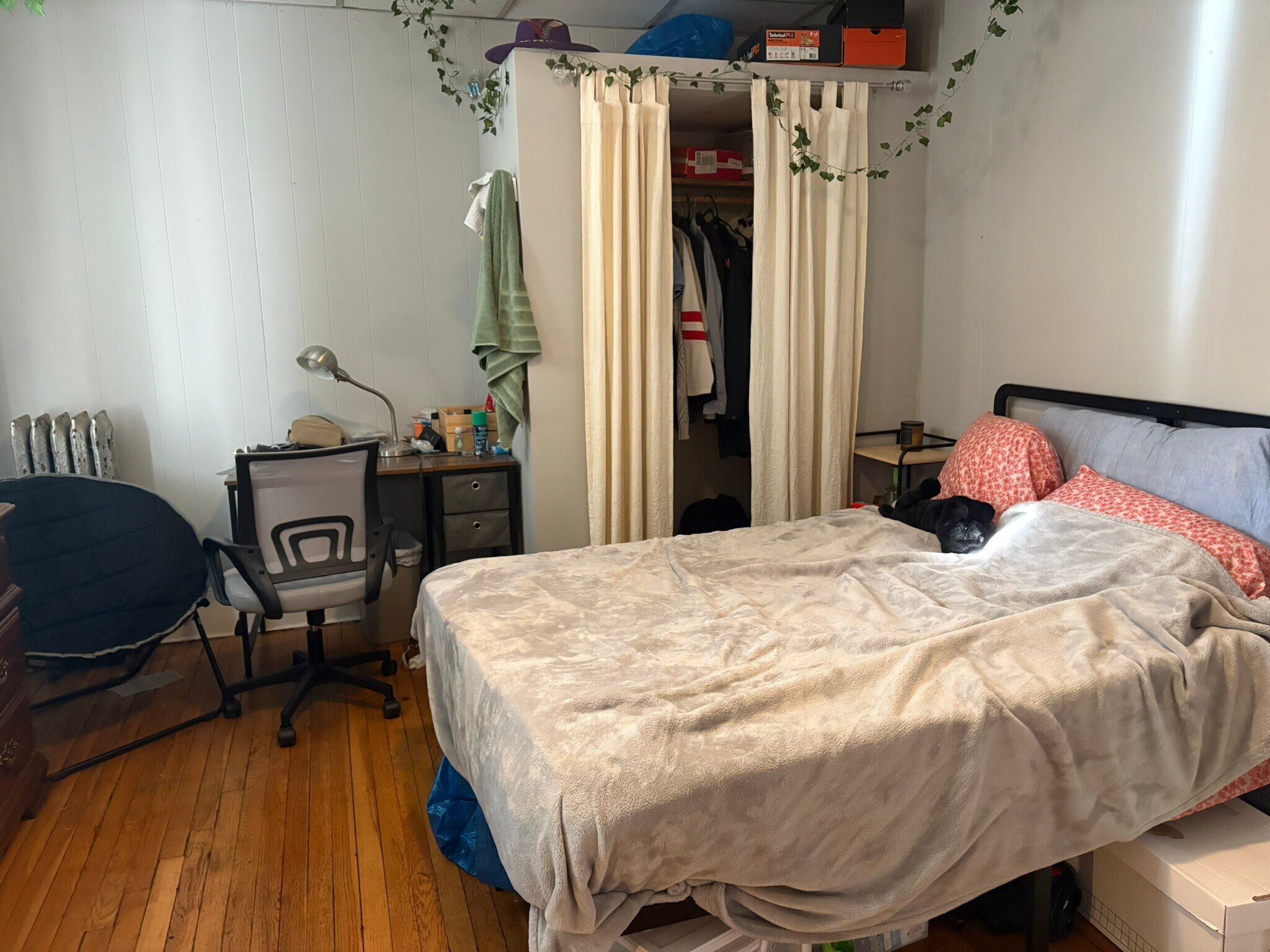 Building Photo - 1066 Commonwealth Ave