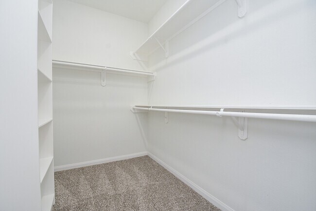 Building Photo - 2807 Topiary Ln