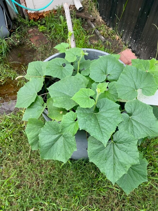 Building Photo - 21839 Manitou Falls Ln