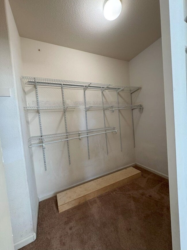 Building Photo - 645 Rockspray Cir