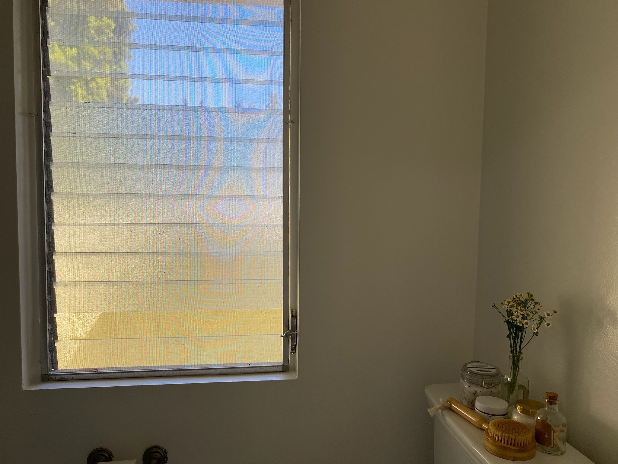Master bathroom - 2036 6th St