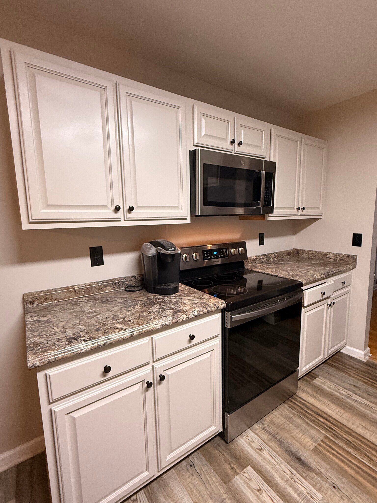Kitchen - 424 W Abington Way