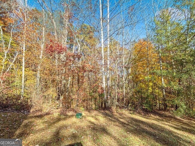 Building Photo - 239 Gallery Ct