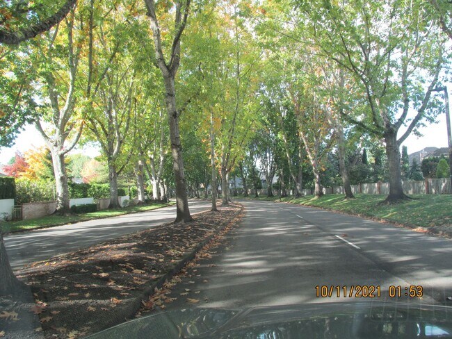 Building Photo - Spacious Home ! Huge living room, 2nd family room, kitchen nook and extra room off kitchen. Large...