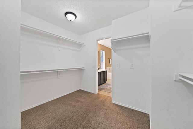 Building Photo - 115 Walnut Dr